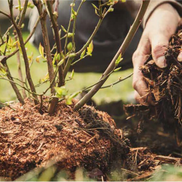 construction services